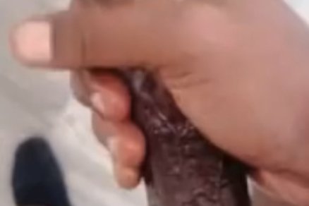 que rico